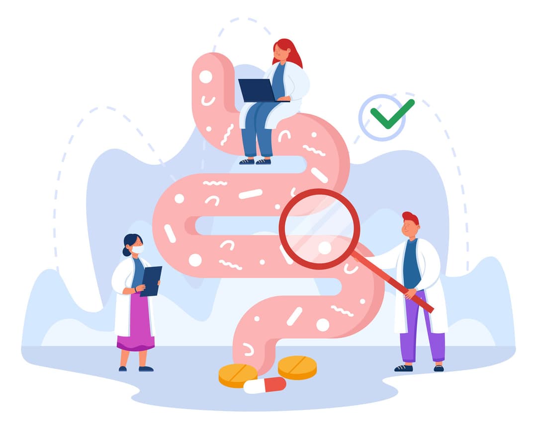 Ilustrație: sistemul digestiv (tubul gastrointestinal) examinat de o echipă de medici